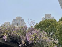 -汉江湾体育公园