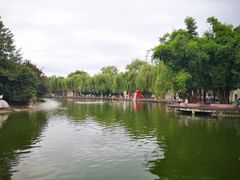 -成都动物园