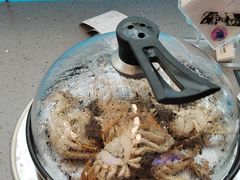 -乔哥铭洋海鲜自助(皇城恒隆广场店)