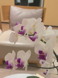 -Yestar宁波艺星整形医院
