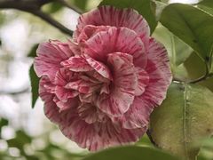 -宝岩生态观光园