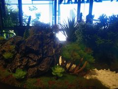 -川旺角川粤融合菜•海景餐厅(星海广场店)