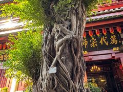 -叩齿古寺