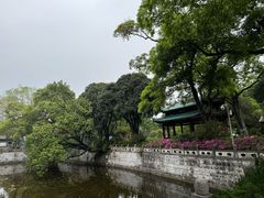 -柳侯公园