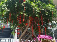 -南通洲际绿博园