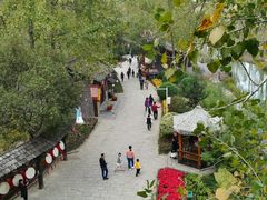 -合肥滨湖国家森林公园