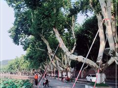 -北山街历史文化街区