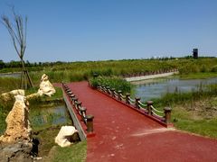 -春花秋色城市公园