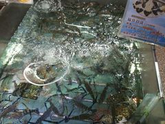 -渔民新村(番禺总店)