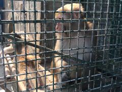 -南京金牛湖风景区