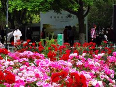 -雨舍咖啡(汉神购物广场咖啡街区店)