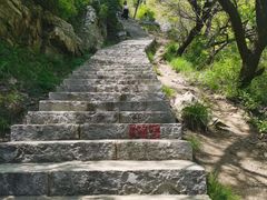 -金龙寺国家森林公园