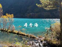 -川姐牦牛肉粉(沟口店)