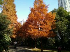 -苏州河梦清园环保主题公园