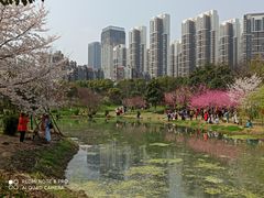 -堤角公园