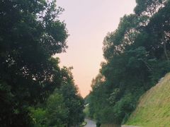 -桃花岭景区