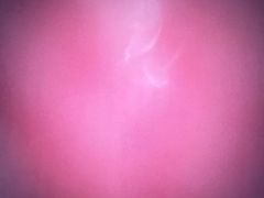 -三文彩虹鳟鱼庄