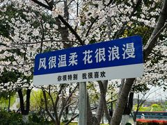 -高东镇樱花园