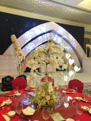 -红丝高端婚礼中心(旗舰店)