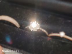 -钻石小鸟钻戒婚戒定制(石路店)