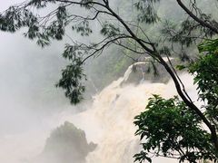 -热带雨林自然公园