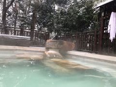 -天目湖涵田半山温泉