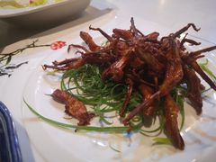 -欢乐海岸美食联盟
