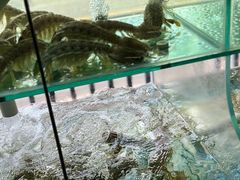 -凯华海鲜火锅·传承三十六年