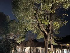 -游龙石文化科普馆