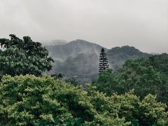 -云溪植物园