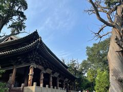 -晋祠公园