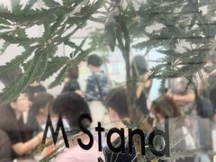 -M Stand(西安大悦城店)