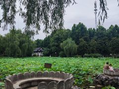 -堤角公园