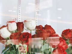 -ROSEONLY诺誓(国际广场购物中心店)