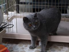 -安安宠医·臻爱宠物医院(簇锦北路分院)