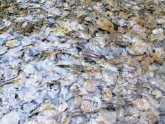 -华蓥山天意谷景区