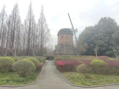 -成都南湖公园