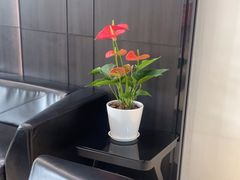 -牙博士口腔品牌连锁(昆山城区店)