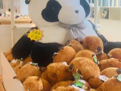 -大连森林动物园熊猫馆纪念品商店