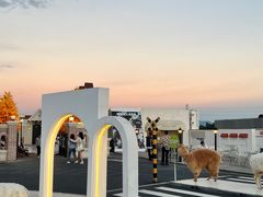 -Blue Concept Cafe&Farm·關於藍