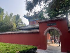 -洛阳白马寺