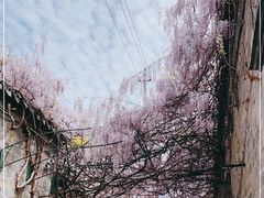 -老门东历史文化街区