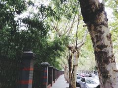 -南通濠河风景名胜区