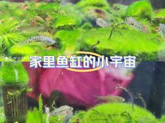 -星巴克(广州中华广场B1层店)