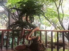 -鱼桥巷·美学川菜