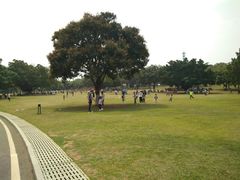 -东莞植物园