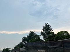-上海滨江森林公园