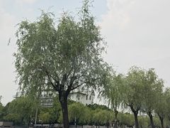 -上海交通大学医学院附属仁济医院南院-停车场