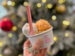 -红楼HONGLOU Gelato(淮海中路店)