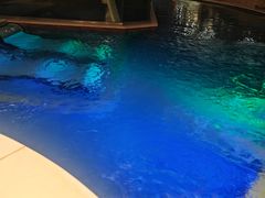 -碧中海汤泉汗蒸酒店